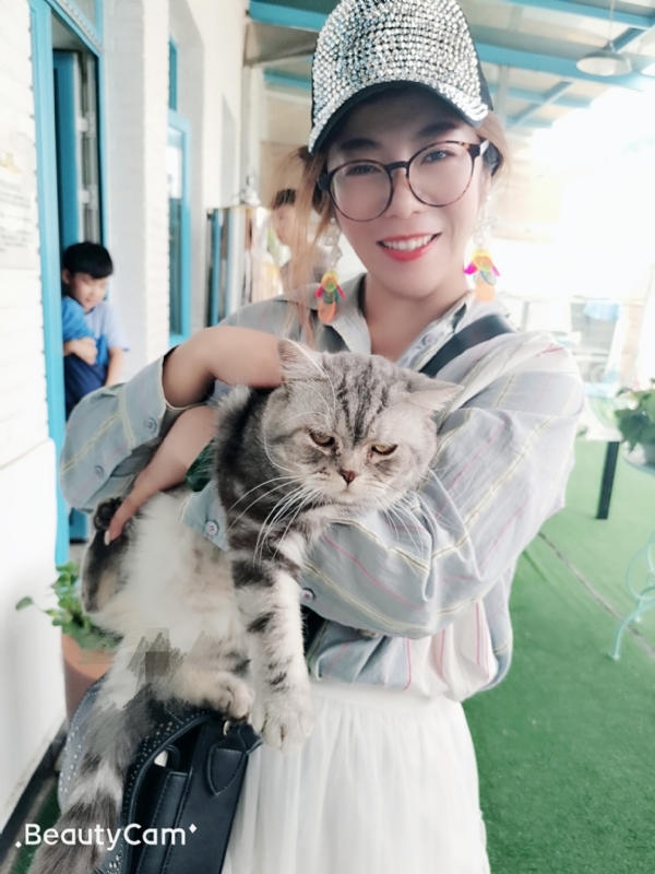小黑猫的第一张照片--全国闪婚服务中心