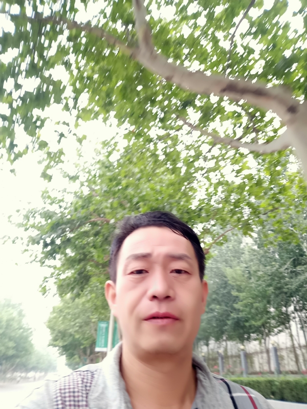 阳光的第一张照片--全国闪婚服务中心
