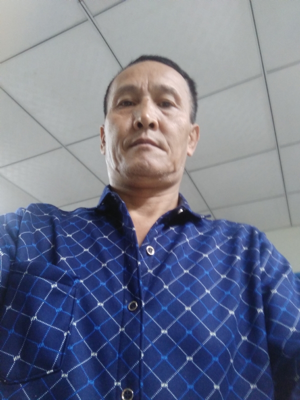 老树的第二张照片--全国闪婚服务中心