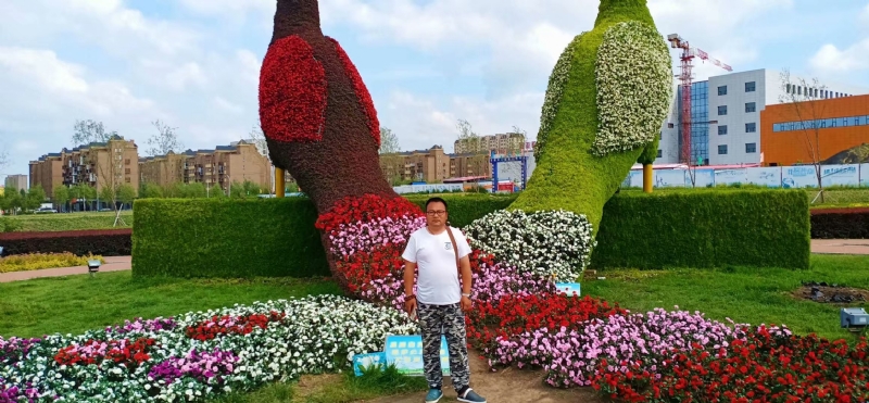 尘埃的第一张照片--全国闪婚服务中心