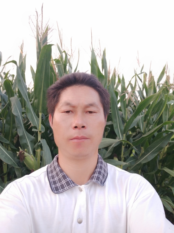 四海游龙的第一张照片--全国闪婚服务中心