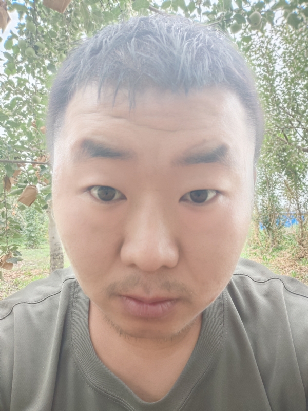 明天的第一张照片--全国闪婚服务中心