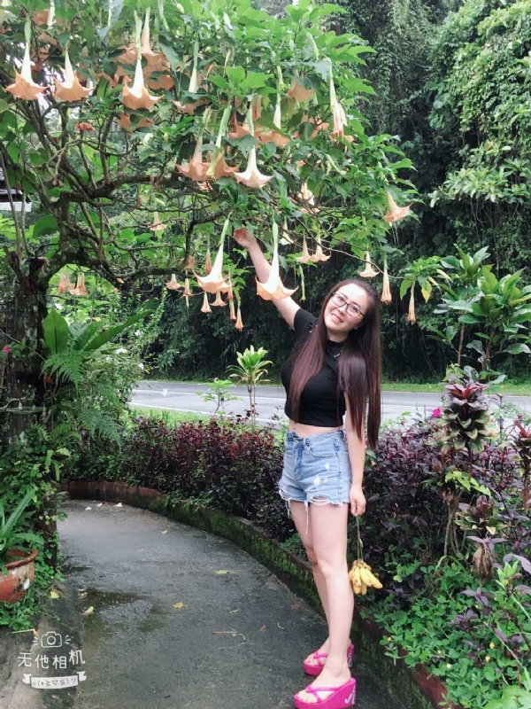 离异单身无子的第二张照片--全国闪婚服务中心