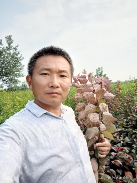 孩子爸的第二张照片--全国闪婚服务中心