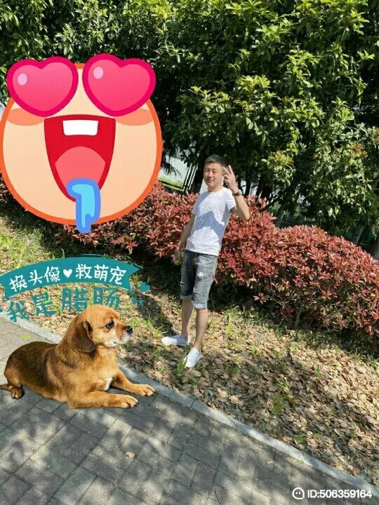 我若不坚强谁替我勇敢的第一张照片--全国闪婚服务中心