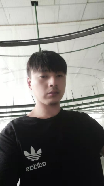 久鑫的第一张照片--全国闪婚服务中心