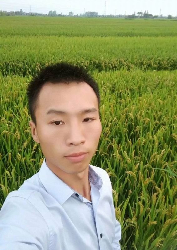 等待远方的你的第二张照片--全国闪婚服务中心