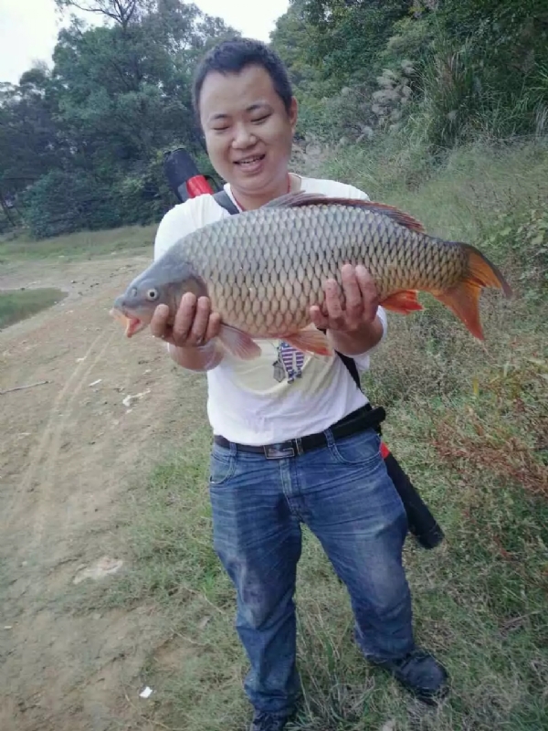 迷路的男人的第一张照片--全国闪婚服务中心