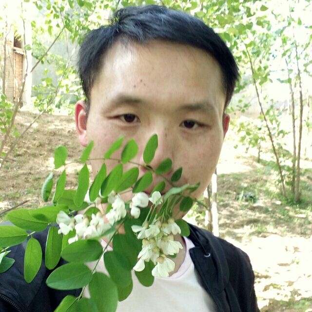 爱周口的第一张照片--全国闪婚服务中心