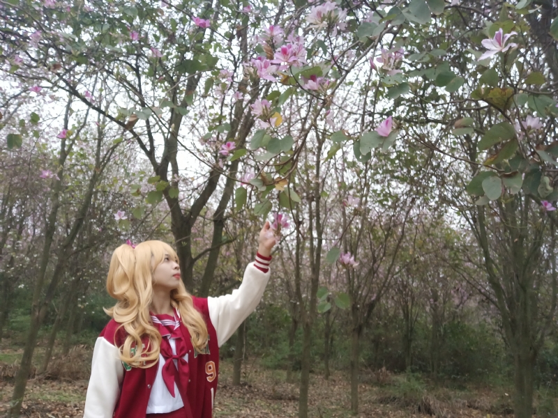 暮秋的第一张照片--全国闪婚服务中心