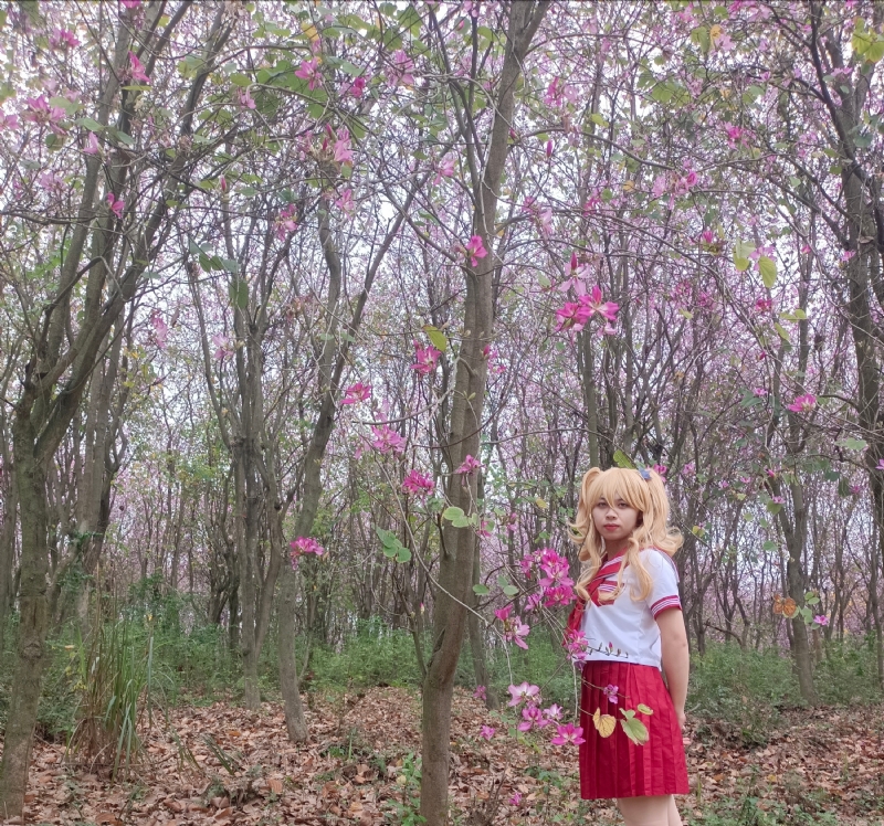 暮秋的第四张照片--全国闪婚服务中心