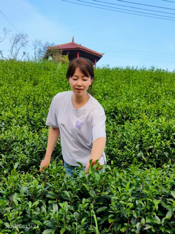 Q绮芳的第一张照片--全国闪婚服务中心