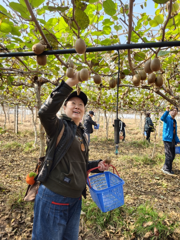 夜莺的第三张照片--全国闪婚服务中心
